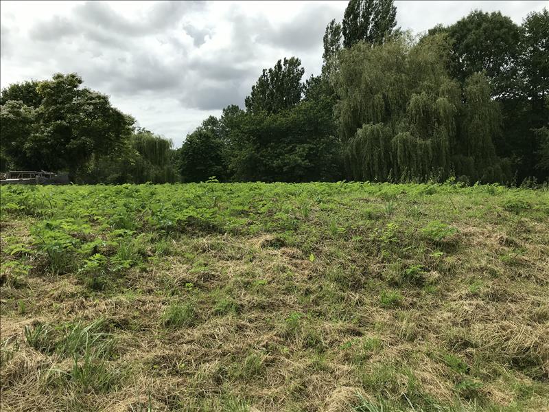 Vente Terrain ORBIGNY - -3000 m² - (37460)