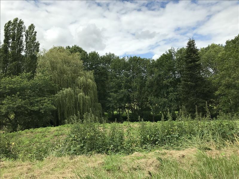 Vente Terrain ORBIGNY - -3000 m² - (37460)
