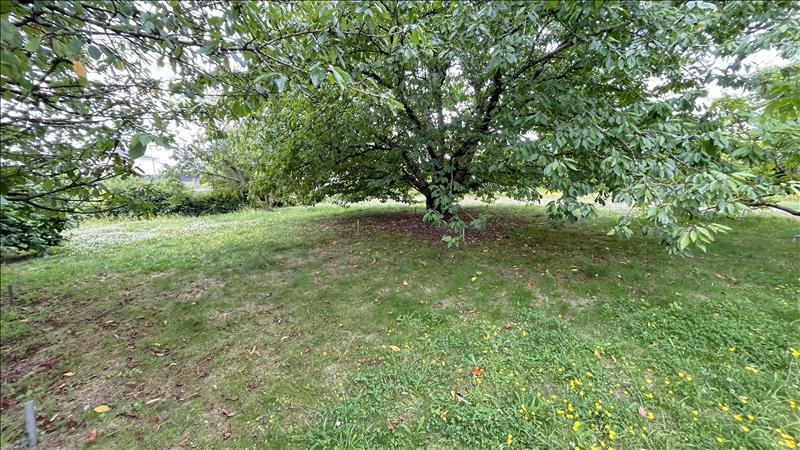 Vente Terrain ST AIGNAN - -2163 m² - (41110)