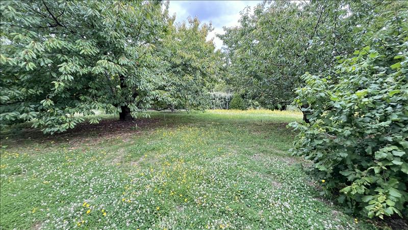 Vente Terrain ST AIGNAN - -1121 m² - (41110)
