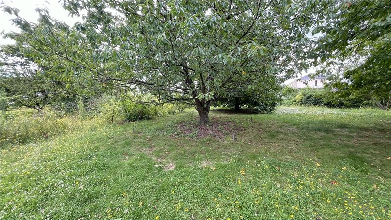 Vente Terrain ST AIGNAN - -1121 m² - (41110)