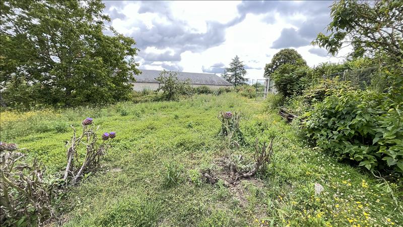 Vente Terrain ST AIGNAN - -1042 m² - (41110)
