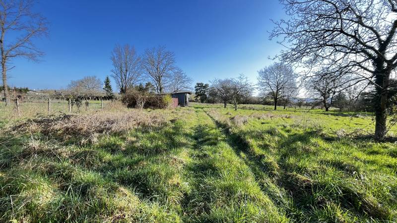 Vente Terrain NOYERS SUR CHER - -3965 m² - (41140)