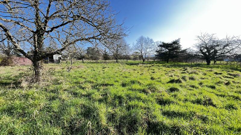 Vente Terrain NOYERS SUR CHER - -3965 m² - (41140)