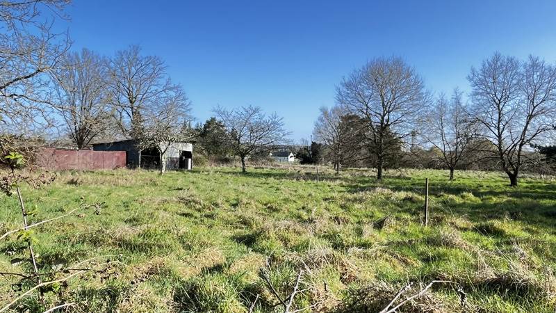 Vente Terrain NOYERS SUR CHER - -3965 m² - (41140)