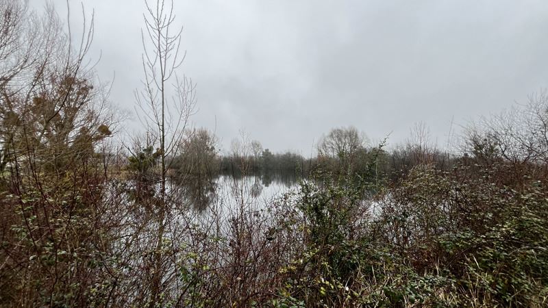 Vente Terrain NOYERS SUR CHER - -17737 m² - (41140)