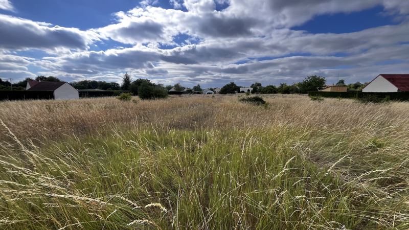 Vente Terrain THESEE - -4078 m² - (41140)