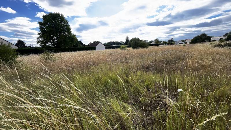 Vente Terrain THESEE - -4078 m² - (41140)