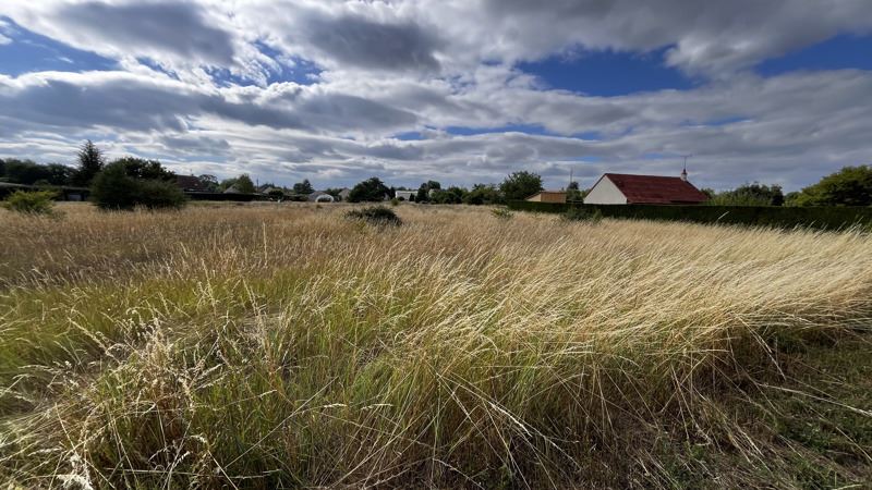 Vente Terrain THESEE - -4078 m² - (41140)