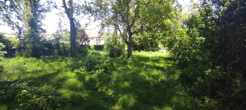 Vente Maison MAREUIL SUR CHER - 2 pièces - - (41110)