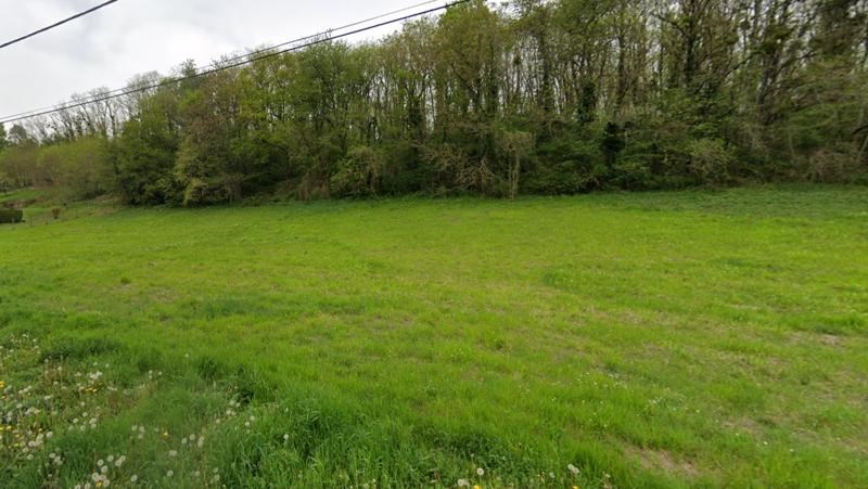 Vente Terrain ST AIGNAN - -7165 m² - (41110)