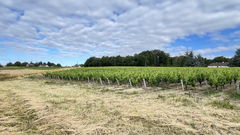 Vente Maison ST ROMAIN SUR CHER - 3 pièces -55 m² - (41140)