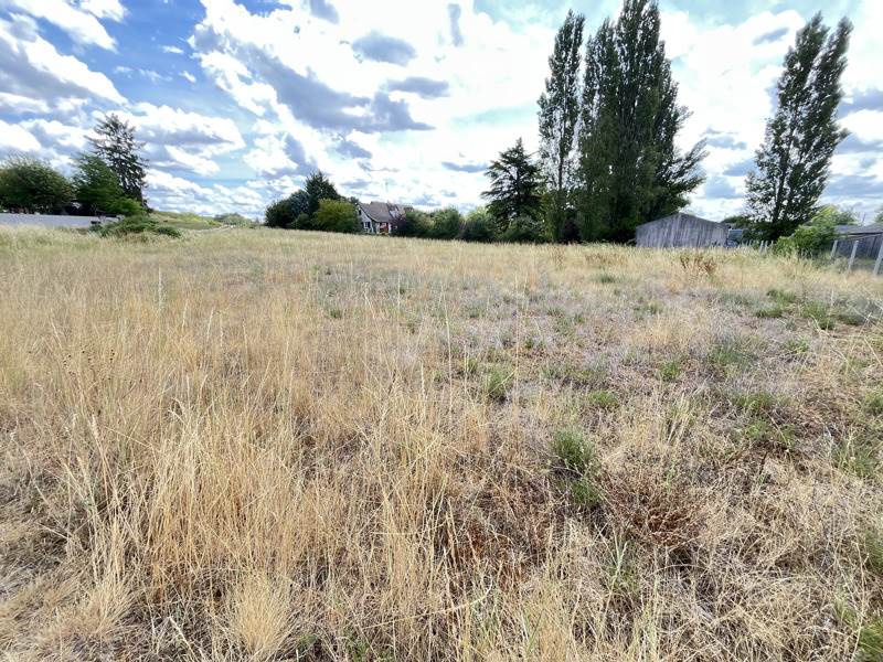 Vente Terrain NOYERS SUR CHER - -3600 m² - (41140)