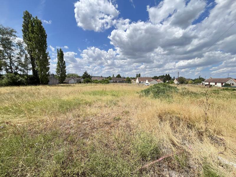 Vente Terrain NOYERS SUR CHER - -3600 m² - (41140)