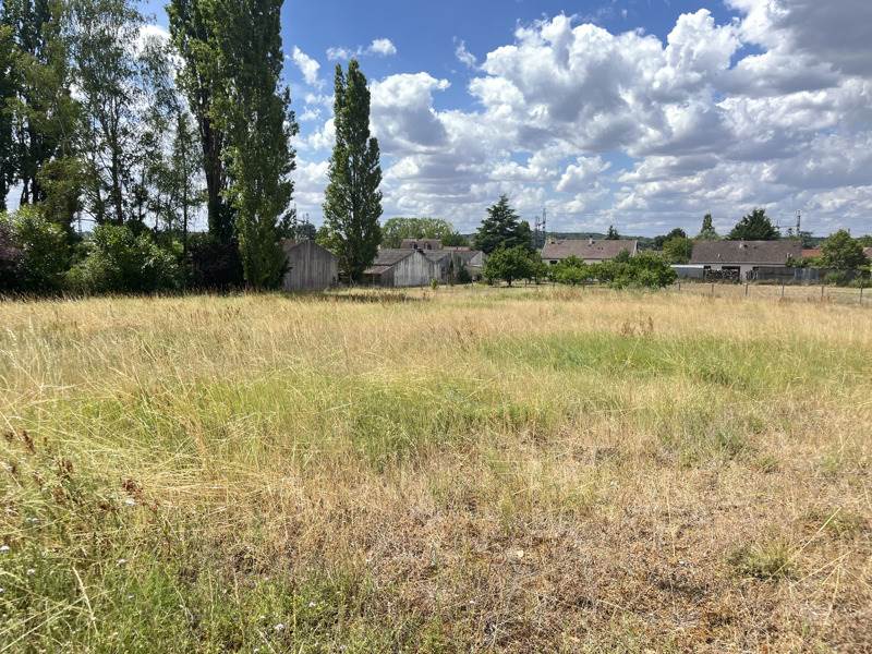 Vente Terrain NOYERS SUR CHER - -3600 m² - (41140)
