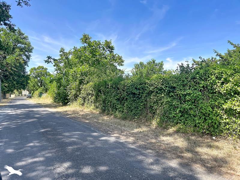 Vente Terrain NOYERS SUR CHER - -2452 m² - (41140)