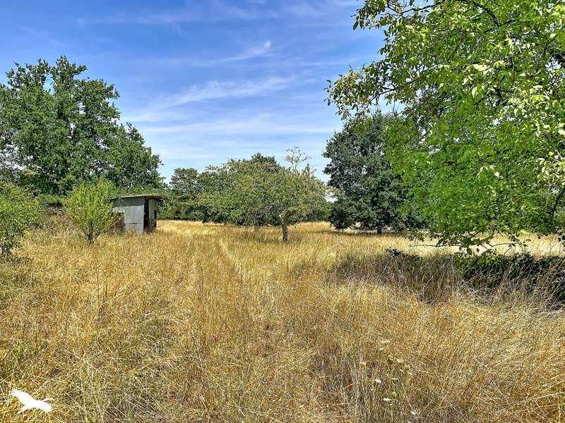 Vente Terrain NOYERS SUR CHER - -2452 m² - (41140)