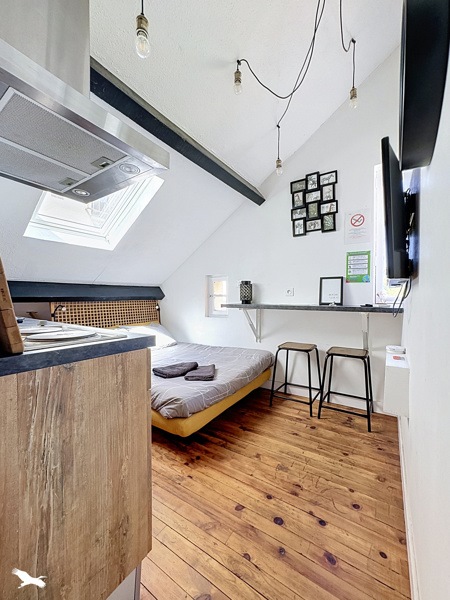 Vente Appartement TOULOUSE - 1 pièce -19 m² - (31400)