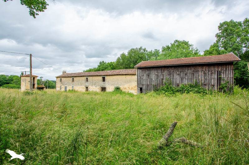 Vente Maison COIMERES - 2 pièces -250 m² - (33210)