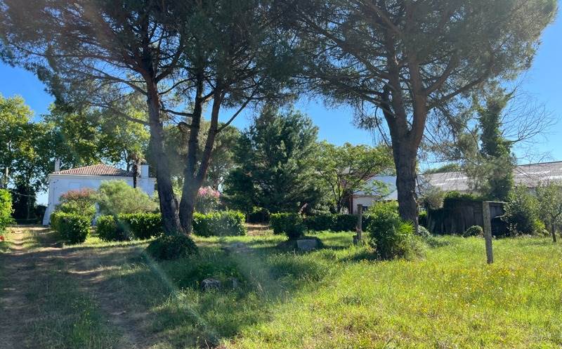 Vente Terrain TOULENNE - -1110 m² - (33210)
