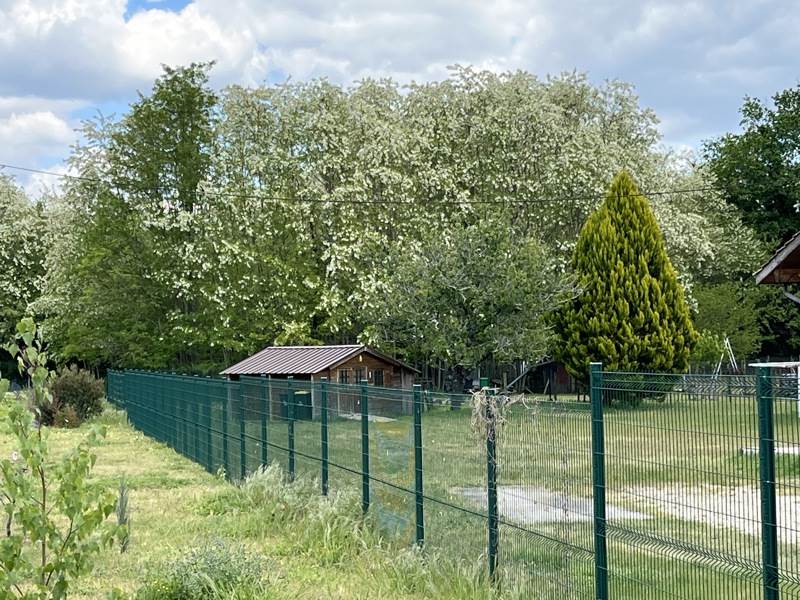 Vente Terrain PUJOLS SUR CIRON - -924 m² - (33210)