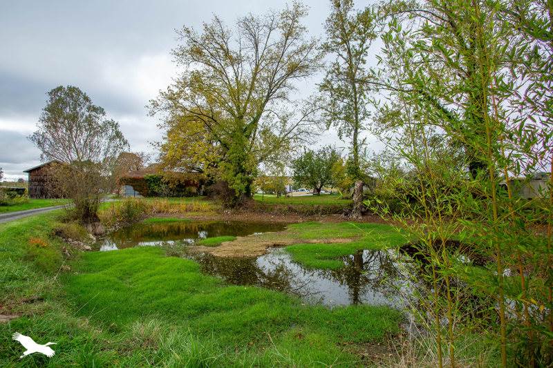 Vente Maison MOURENS - 8 pièces -200 m² - (33410)