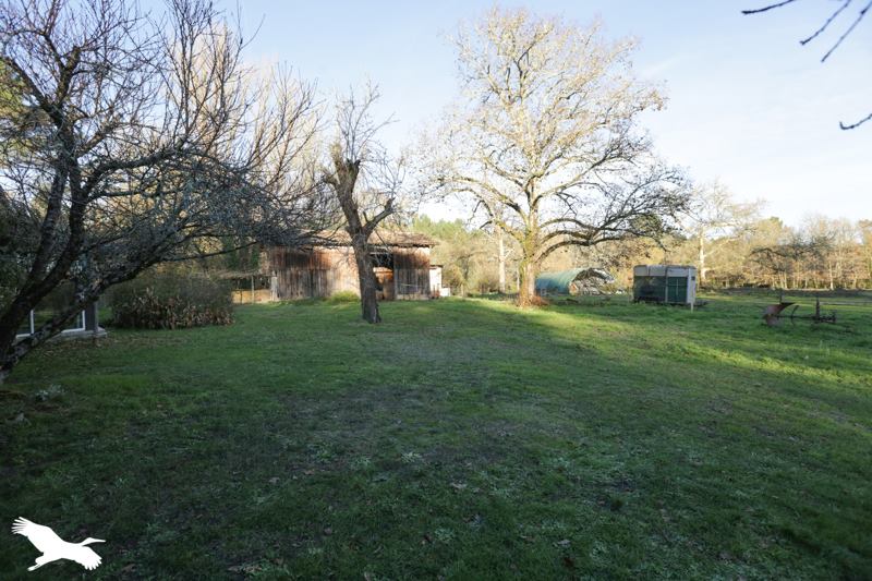 Vente Maison BALIZAC - 8 pièces -323 m² - (33730)