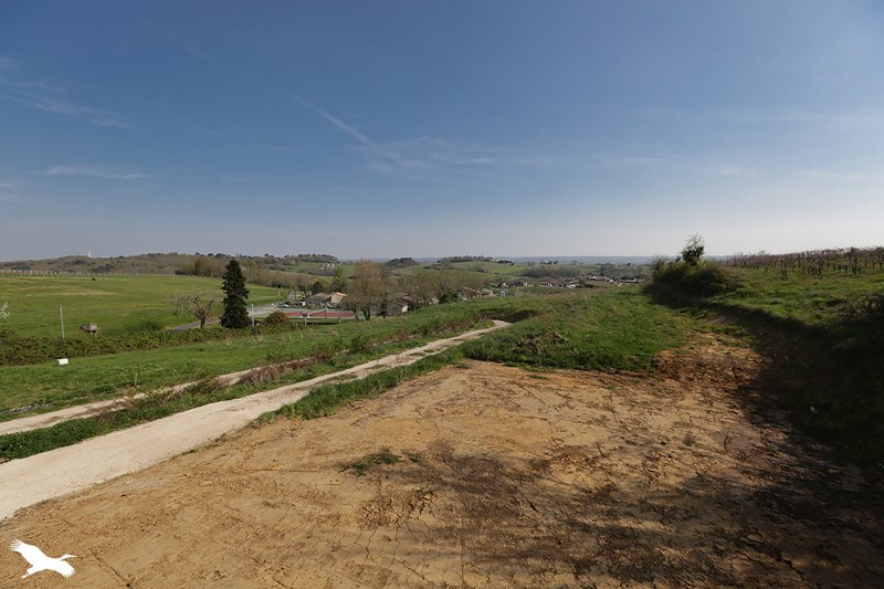 Vente Maison ST ANDRE DU BOIS - 5 pièces -135 m² - (33490)
