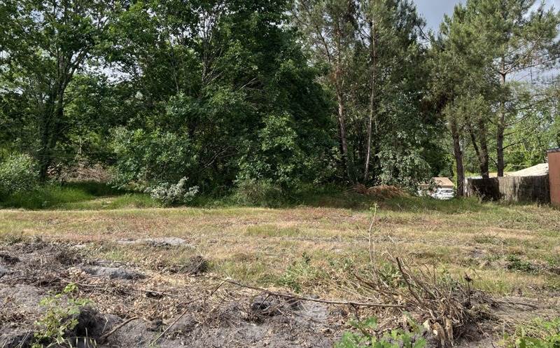Vente Terrain BALIZAC - -1246 m² - (33730)