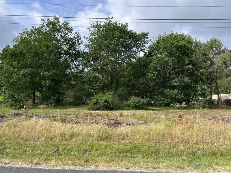 Vente Terrain BALIZAC - -1246 m² - (33730)