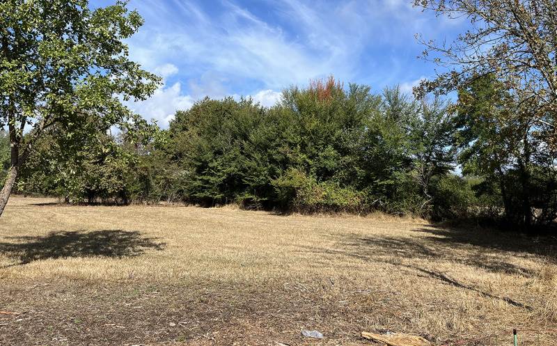 Vente Terrain Noaillan - -812 m² - (33730)