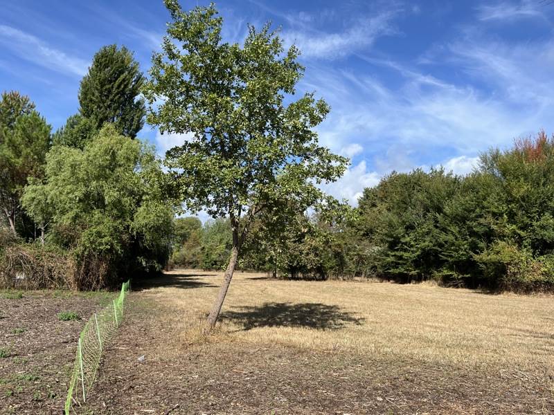 Vente Terrain Noaillan - -812 m² - (33730)