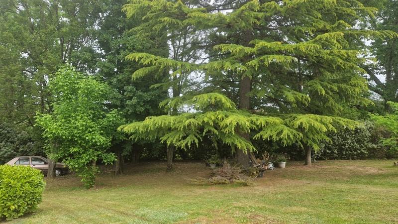 Vente Maison La Réole - 4 pièces -110 m² - (33190)