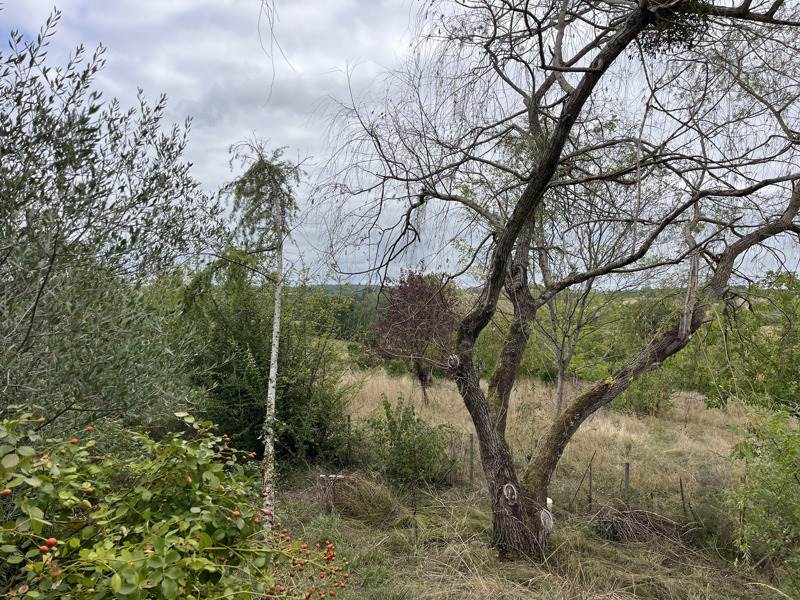 Vente Maison Saint-Hilaire-de-la-Noaille - 4 pièces -84 m² - (33190)