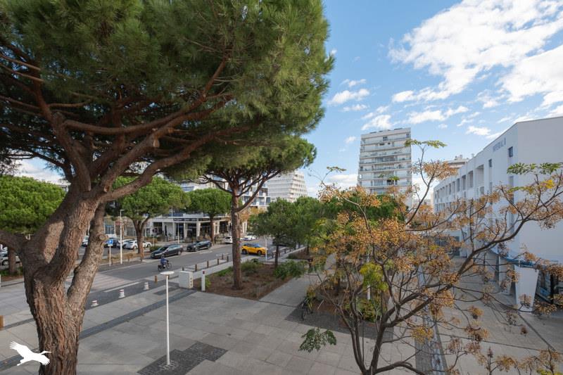 Vente Appartement LA GRANDE MOTTE - 3 pièces -72 m² - (34280)