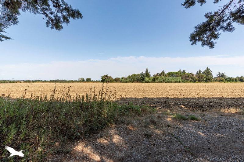 Vente Maison CAISSARGUES - 8 pièces -230 m² - (30132)