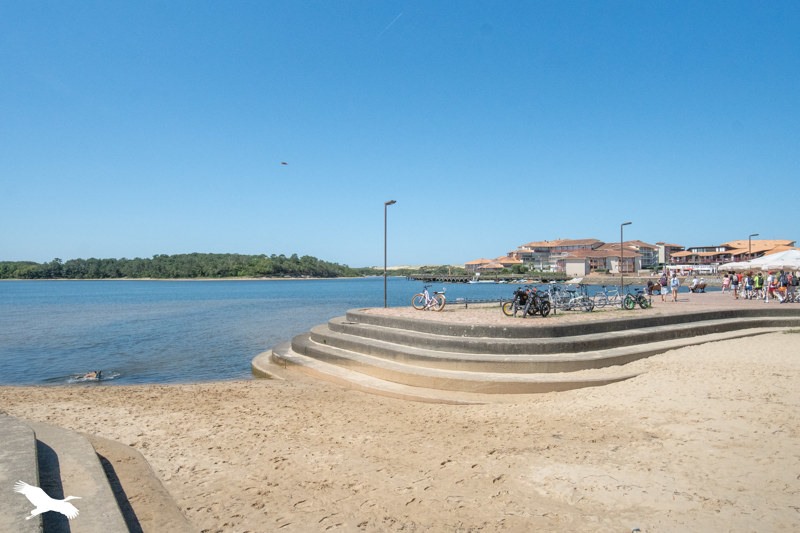 Vente Appartement VIEUX BOUCAU LES BAINS - 3 pièces -45 m² - (40480)