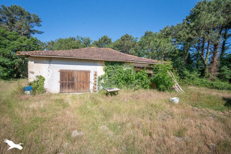 Vente Maison SOUSTONS - 4 pièces -176 m² - (40140)