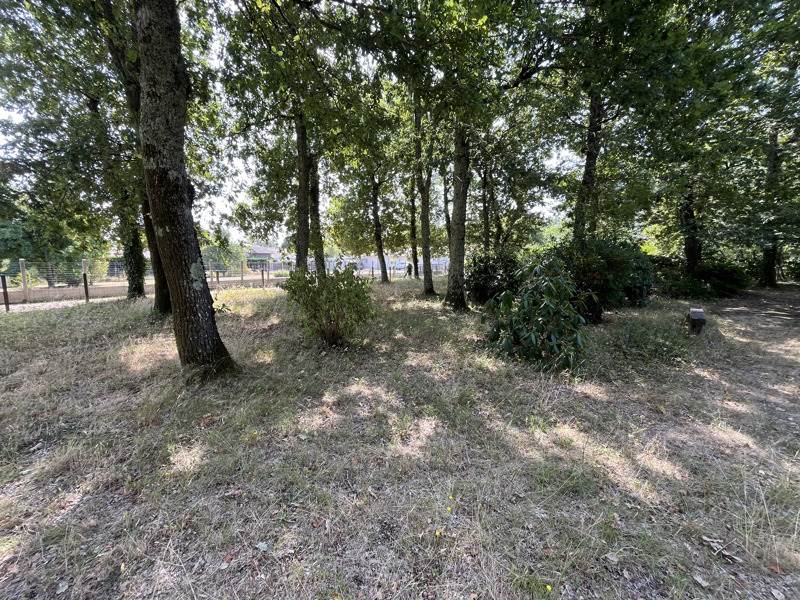 Vente Terrain LE TEICH - -620 m² - (33470)