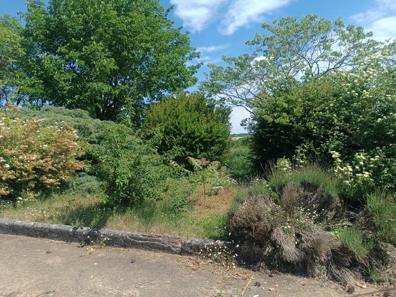 Vente Maison MESCHERS SUR GIRONDE - 4 pièces -102 m² - (17132)