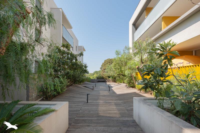 Vente Appartement MONTPELLIER - 3 pièces -62 m² - (34070)
