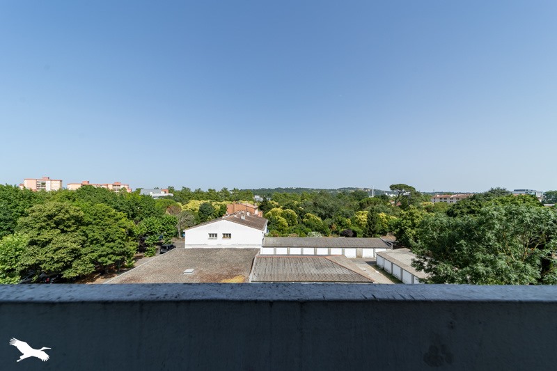 Vente Appartement TOULOUSE - 3 pièces -64 m² - (31100)
