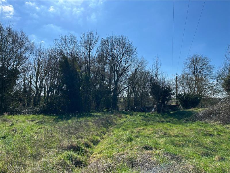 Vente Terrain PONT L ABBE D ARNOULT - -1740 m² - (17250)