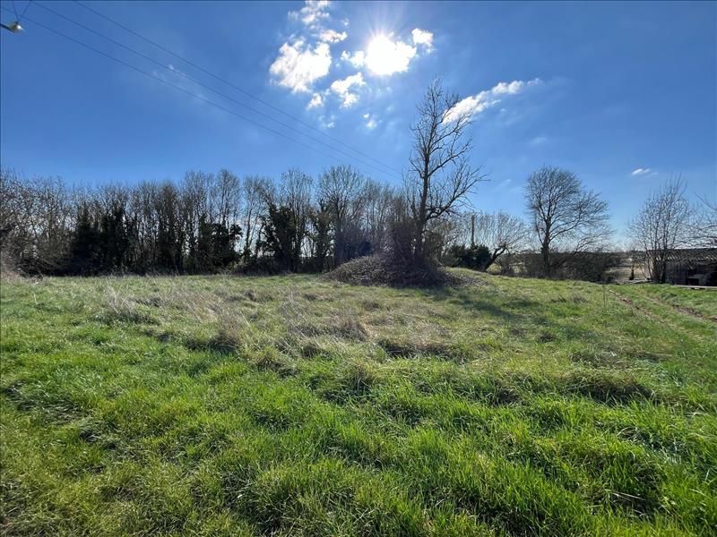 Vente Terrain PONT L ABBE D ARNOULT - -1740 m² - (17250)