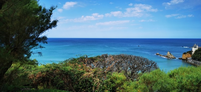 Vente Appartement Biarritz - 1 pièce -44 m² - (64200)