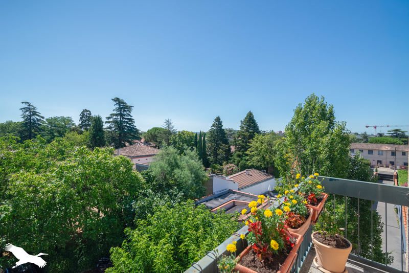 Vente Appartement BLAGNAC - 4 pièces -79 m² - (31700)