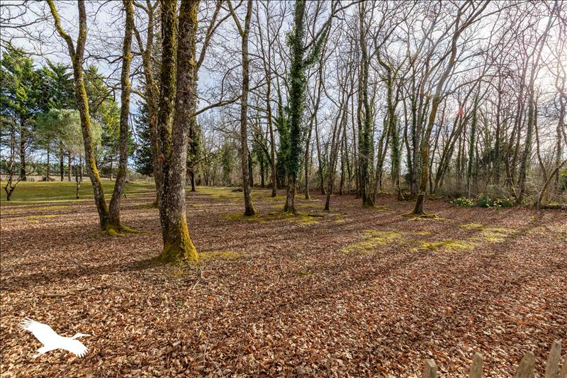 Vente Maison GARAT - 4 pièces -110 m² - (16410)