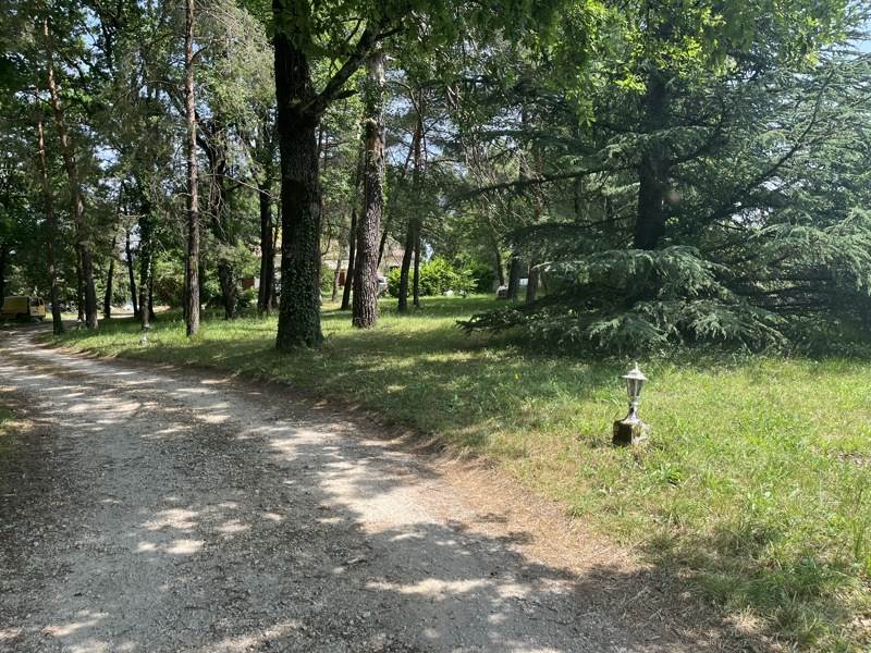 Vente Terrain DIRAC - -906 m² - (16410)