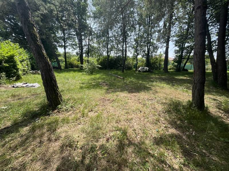 Vente Terrain DIRAC - -1043 m² - (16410)