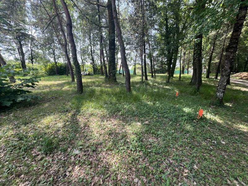 Vente Terrain DIRAC - -1043 m² - (16410)